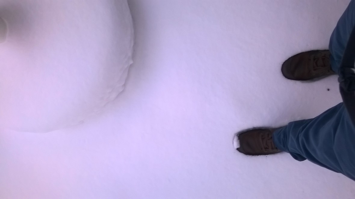 WP_20150202_16_32_29_Pro